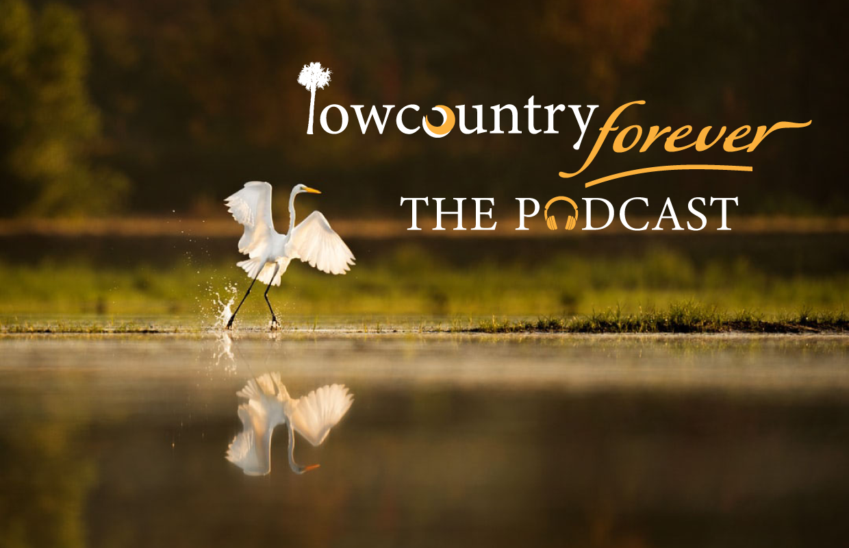 lowcountry forever radio station podcast cover image